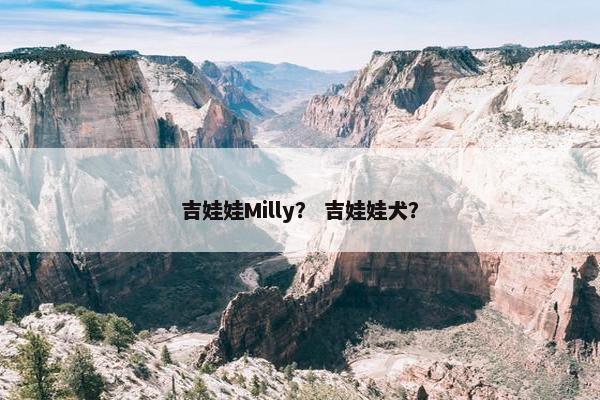 吉娃娃Milly？ 吉娃娃犬？