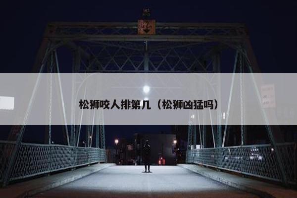 松狮咬人排第几（松狮凶猛吗）