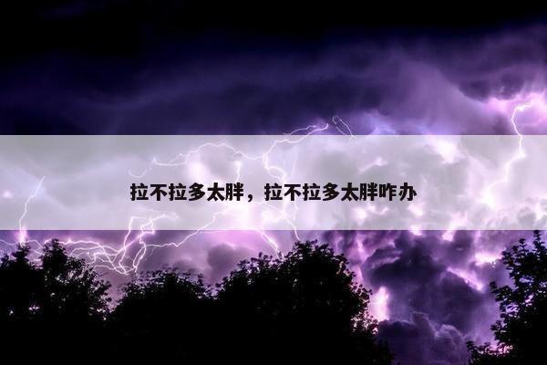 拉不拉多太胖，拉不拉多太胖咋办