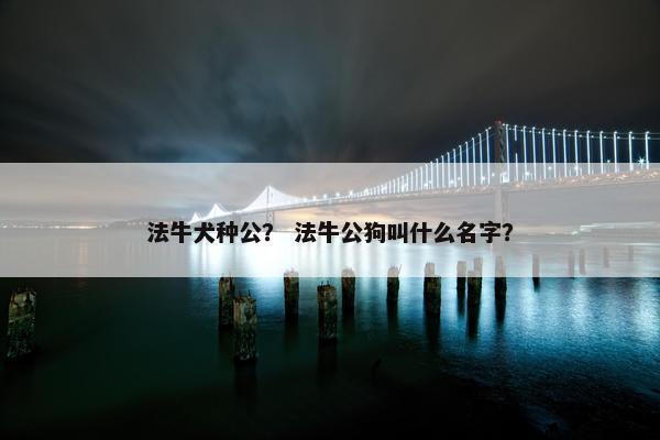 法牛犬种公？ 法牛公狗叫什么名字？