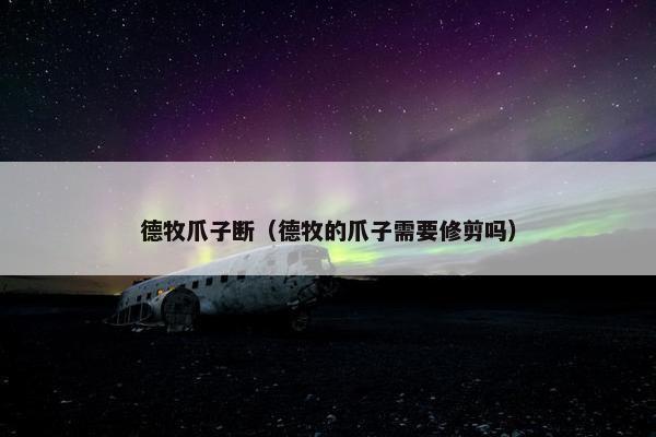 德牧爪子断（德牧的爪子需要修剪吗）