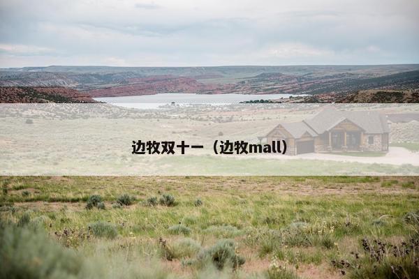 边牧双十一（边牧mall）