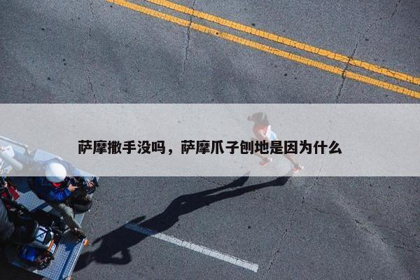 萨摩撒手没吗，萨摩爪子刨地是因为什么