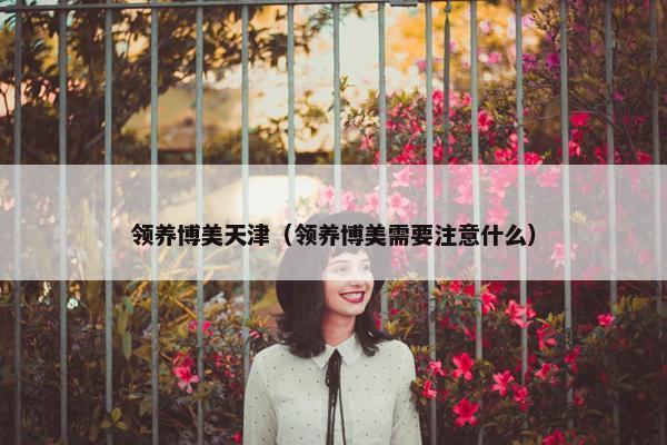 领养博美天津（领养博美需要注意什么）