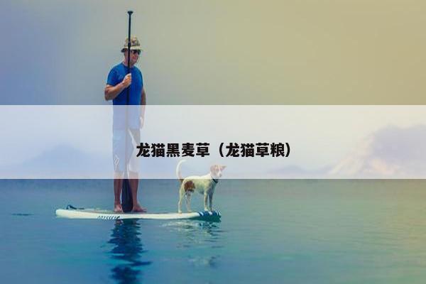龙猫黑麦草（龙猫草粮）