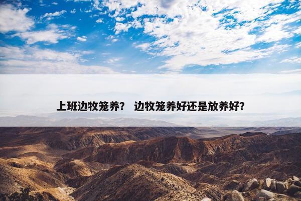 上班边牧笼养？ 边牧笼养好还是放养好？