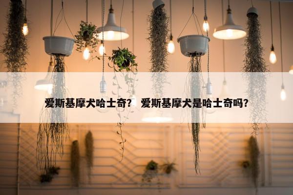 爱斯基摩犬哈士奇？ 爱斯基摩犬是哈士奇吗？