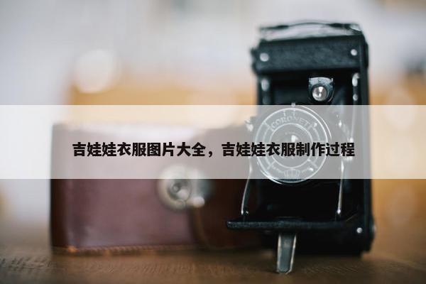 吉娃娃衣服图片大全，吉娃娃衣服制作过程