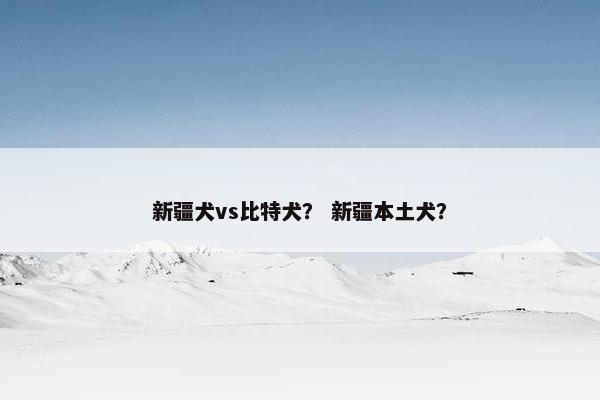 新疆犬vs比特犬？ 新疆本土犬？