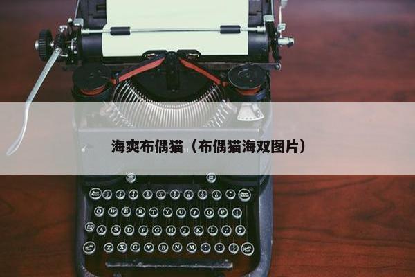 海爽布偶猫（布偶猫海双图片）