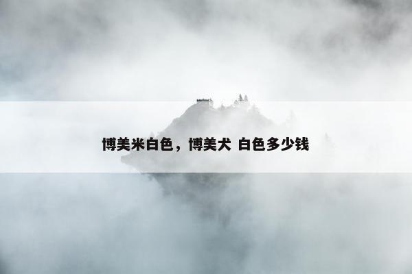 博美米白色，博美犬 白色多少钱