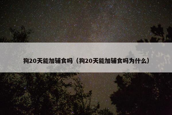 狗20天能加辅食吗（狗20天能加辅食吗为什么）