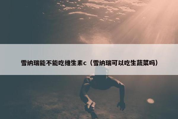 雪纳瑞能不能吃维生素c（雪纳瑞可以吃生蔬菜吗）