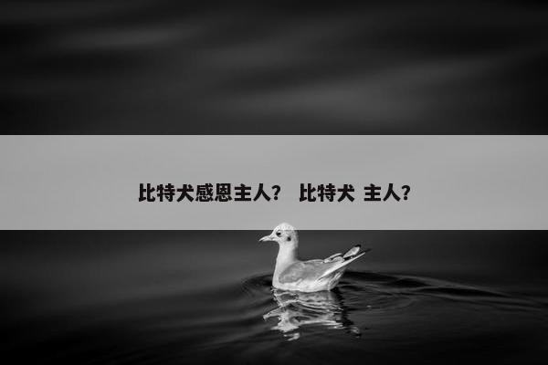 比特犬感恩主人？ 比特犬 主人？