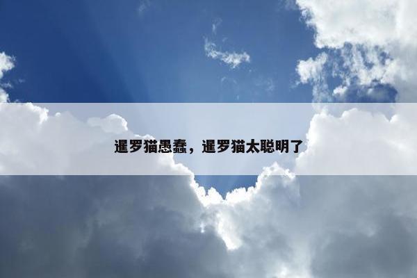 暹罗猫愚蠢，暹罗猫太聪明了
