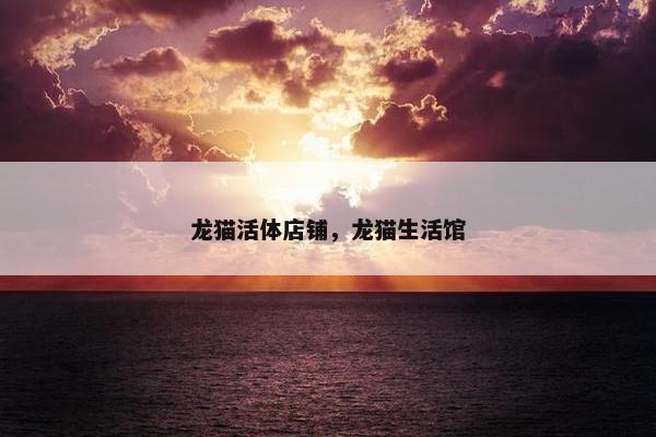 龙猫活体店铺，龙猫生活馆