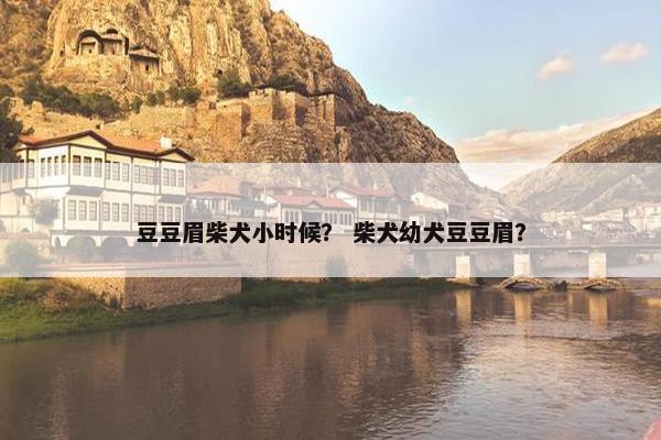 豆豆眉柴犬小时候？ 柴犬幼犬豆豆眉？