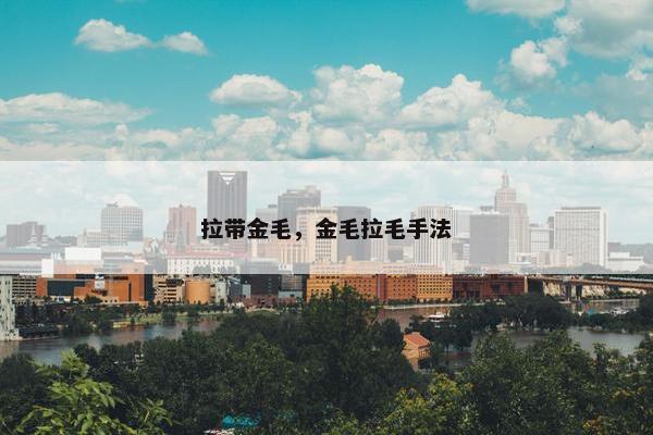 拉带金毛，金毛拉毛手法