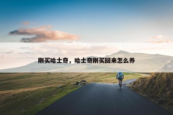 刚买哈士奇，哈士奇刚买回来怎么养