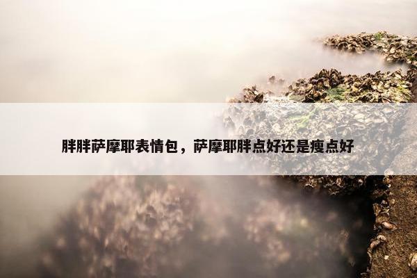 胖胖萨摩耶表情包，萨摩耶胖点好还是瘦点好