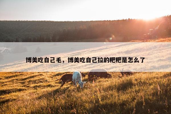 博美吃自己毛，博美吃自己拉的粑粑是怎么了