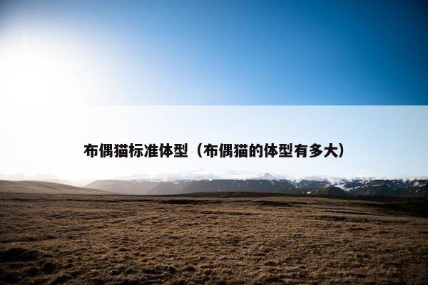 布偶猫标准体型（布偶猫的体型有多大）