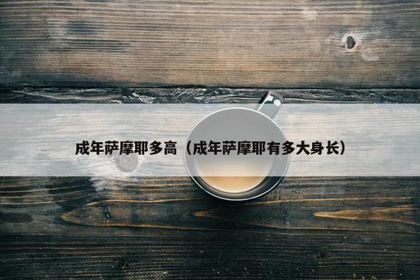 成年萨摩耶多高（成年萨摩耶有多大身长）