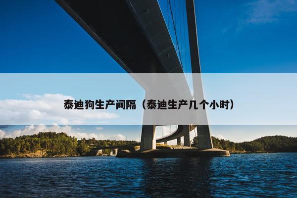 泰迪狗生产间隔（泰迪生产几个小时）