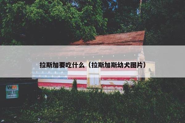 拉斯加要吃什么（拉斯加斯幼犬图片）