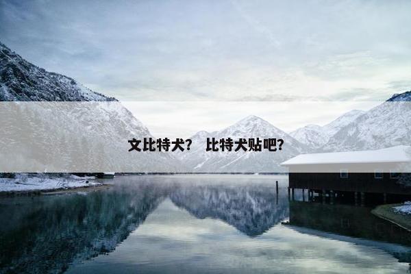 文比特犬？ 比特犬贴吧？