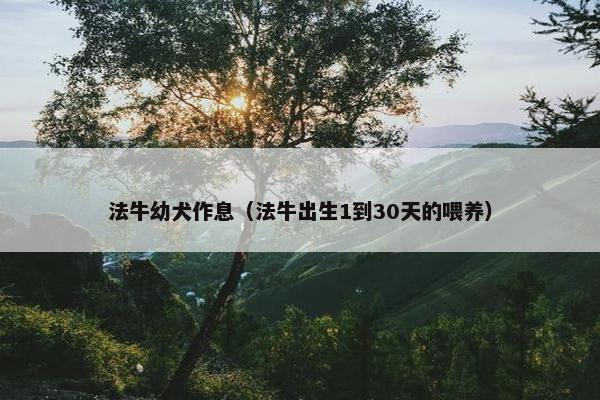法牛幼犬作息（法牛出生1到30天的喂养）