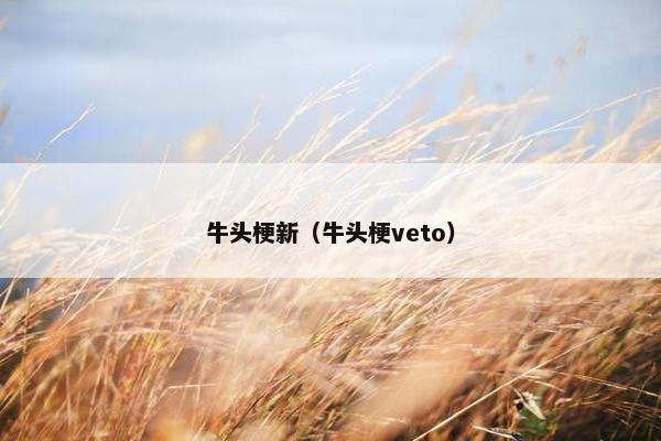 牛头梗新（牛头梗veto）