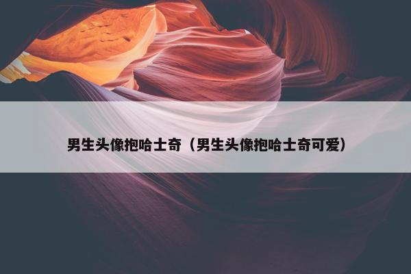 男生头像抱哈士奇（男生头像抱哈士奇可爱）