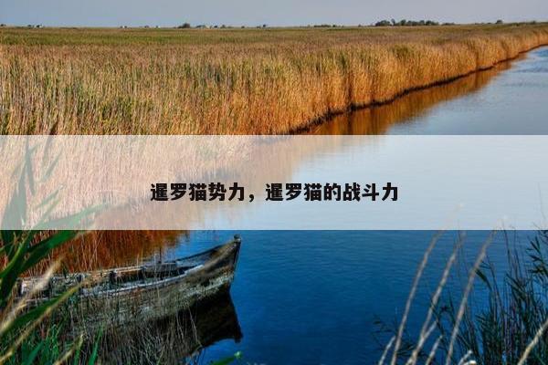 暹罗猫势力，暹罗猫的战斗力