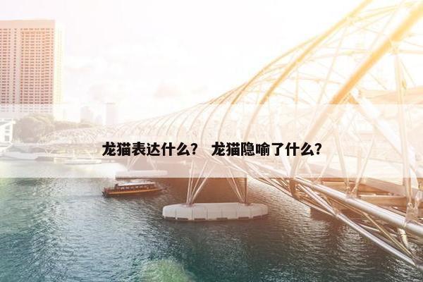 龙猫表达什么？ 龙猫隐喻了什么？