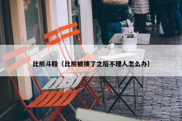 比熊斗殴（比熊被揍了之后不理人怎么办）