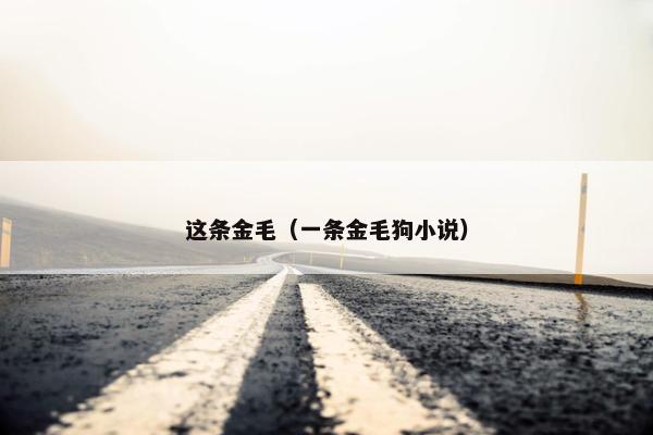 这条金毛（一条金毛狗小说）