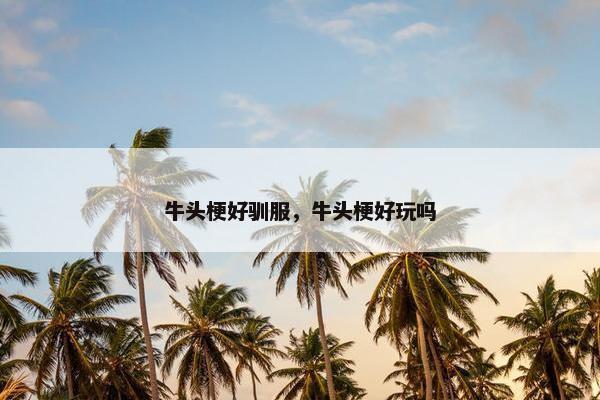 牛头梗好驯服，牛头梗好玩吗