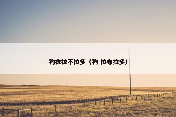 狗衣拉不拉多（狗 拉布拉多）