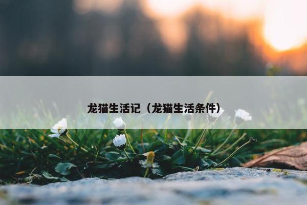 龙猫生活记（龙猫生活条件）