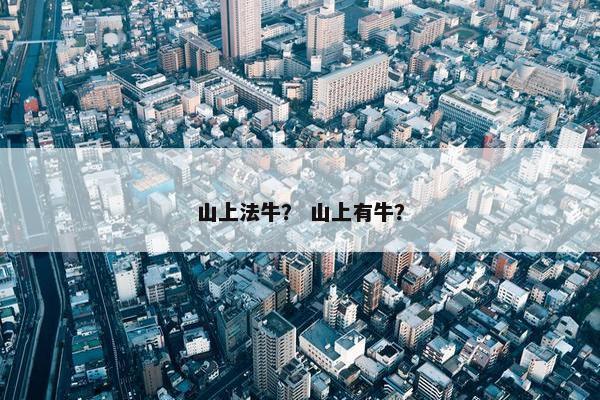 山上法牛？ 山上有牛？