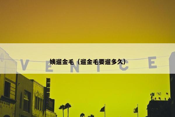 姨遛金毛（遛金毛要遛多久）