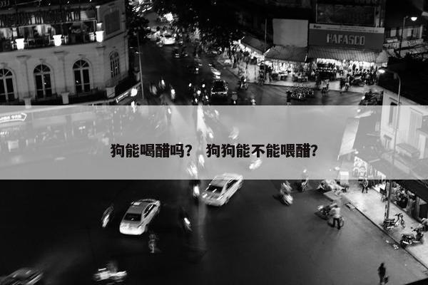 狗能喝醋吗？ 狗狗能不能喂醋？