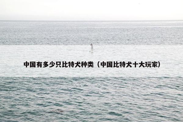 中国有多少只比特犬种类（中国比特犬十大玩家）