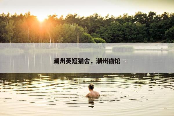 潮州英短猫舍，潮州猫馆