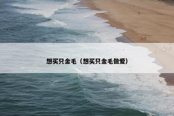 想买只金毛（想买只金毛做爱）