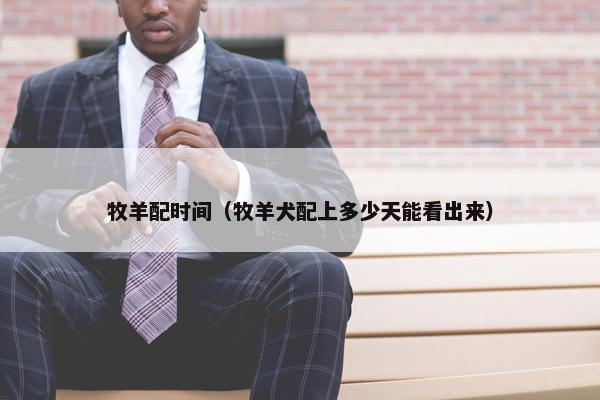 牧羊配时间（牧羊犬配上多少天能看出来）