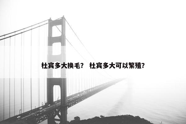 杜宾多大换毛？ 杜宾多大可以繁殖？