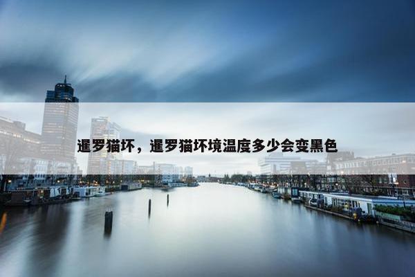 暹罗猫坏，暹罗猫坏境温度多少会变黑色