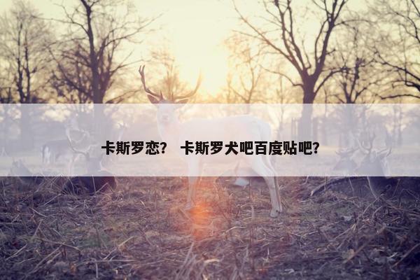 卡斯罗恋？ 卡斯罗犬吧百度贴吧？